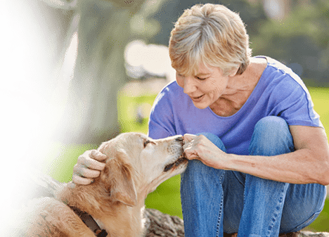 commonly asked questions banner